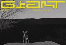 Calvin Harris ft. Rag’n’Bone Man – Giant