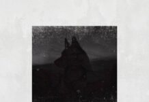 Daniel Cane – Wolves