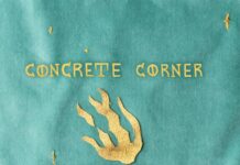 Car Pets – Concrete Corner
