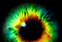 No Man’s Valley – Eyeball