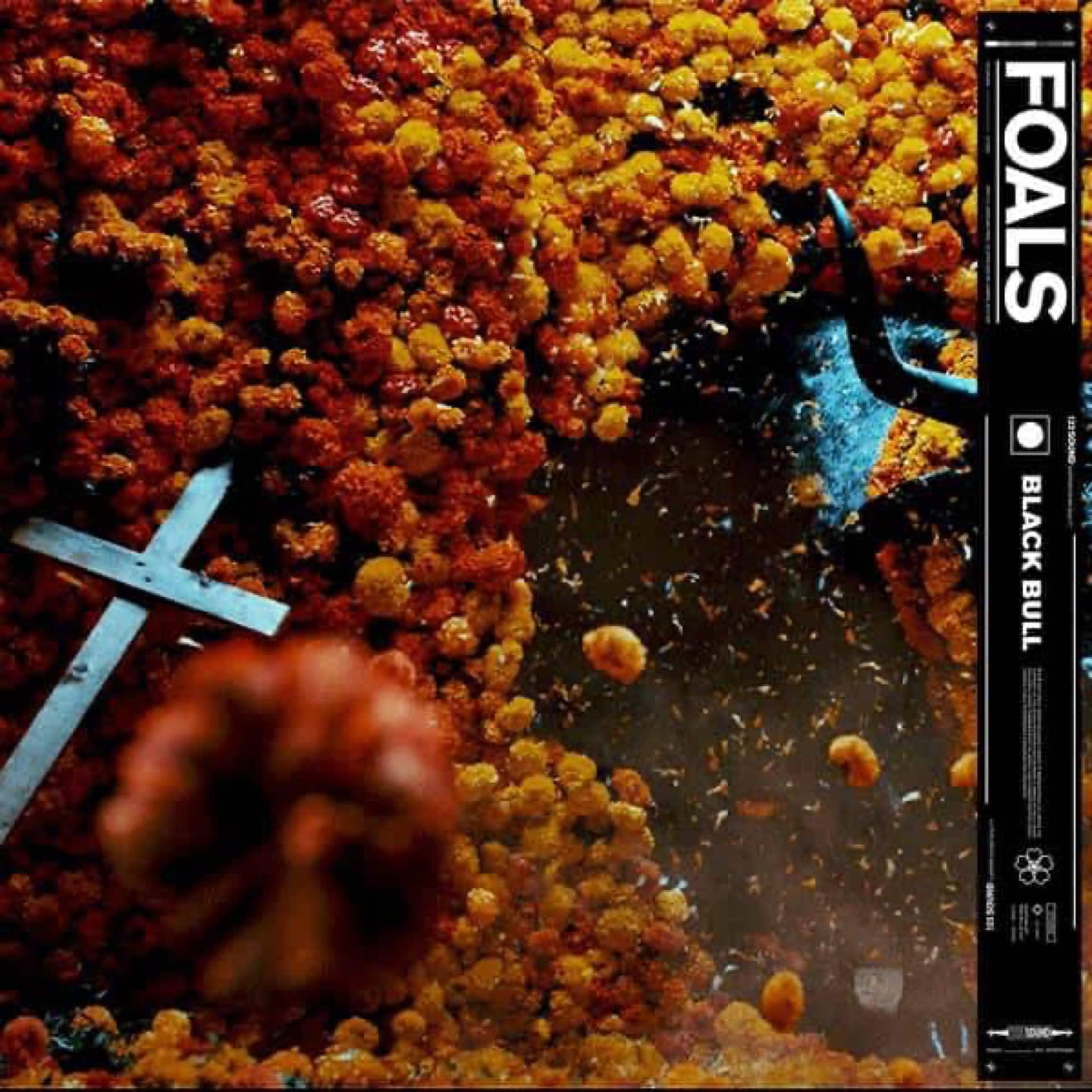 Foals – Black Bull