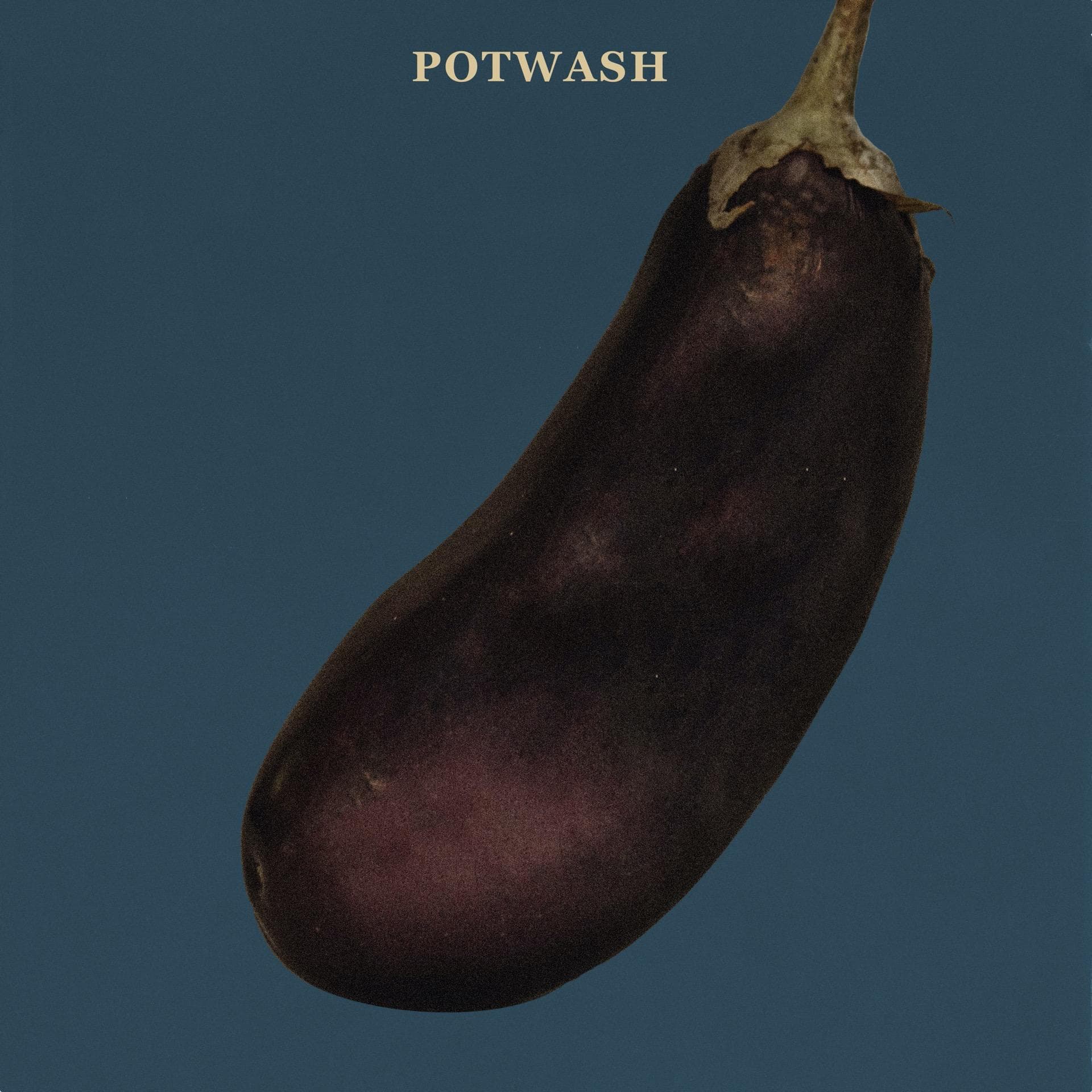 Canshaker Pi – Potwash