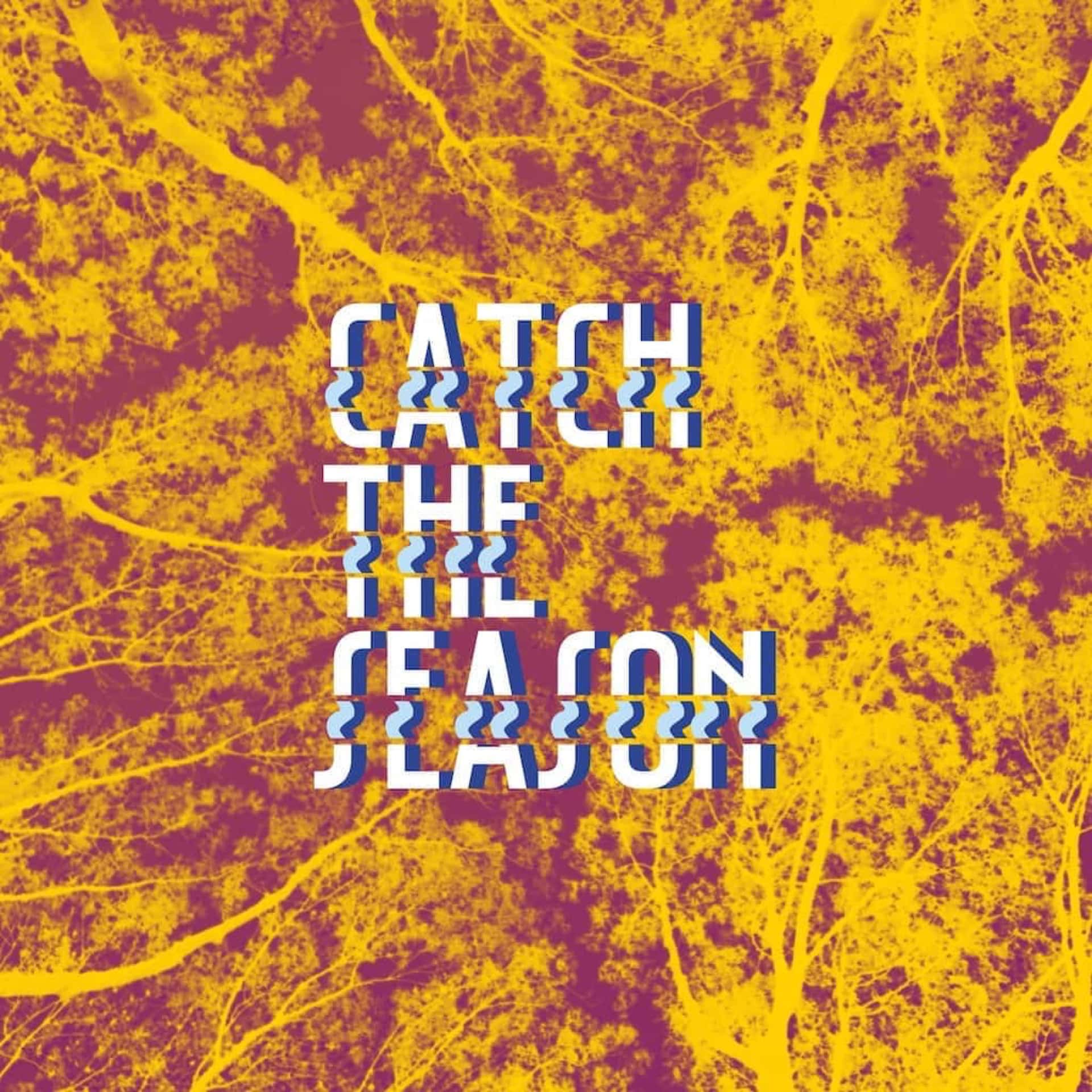 The Max Meser Group – Catch The Season