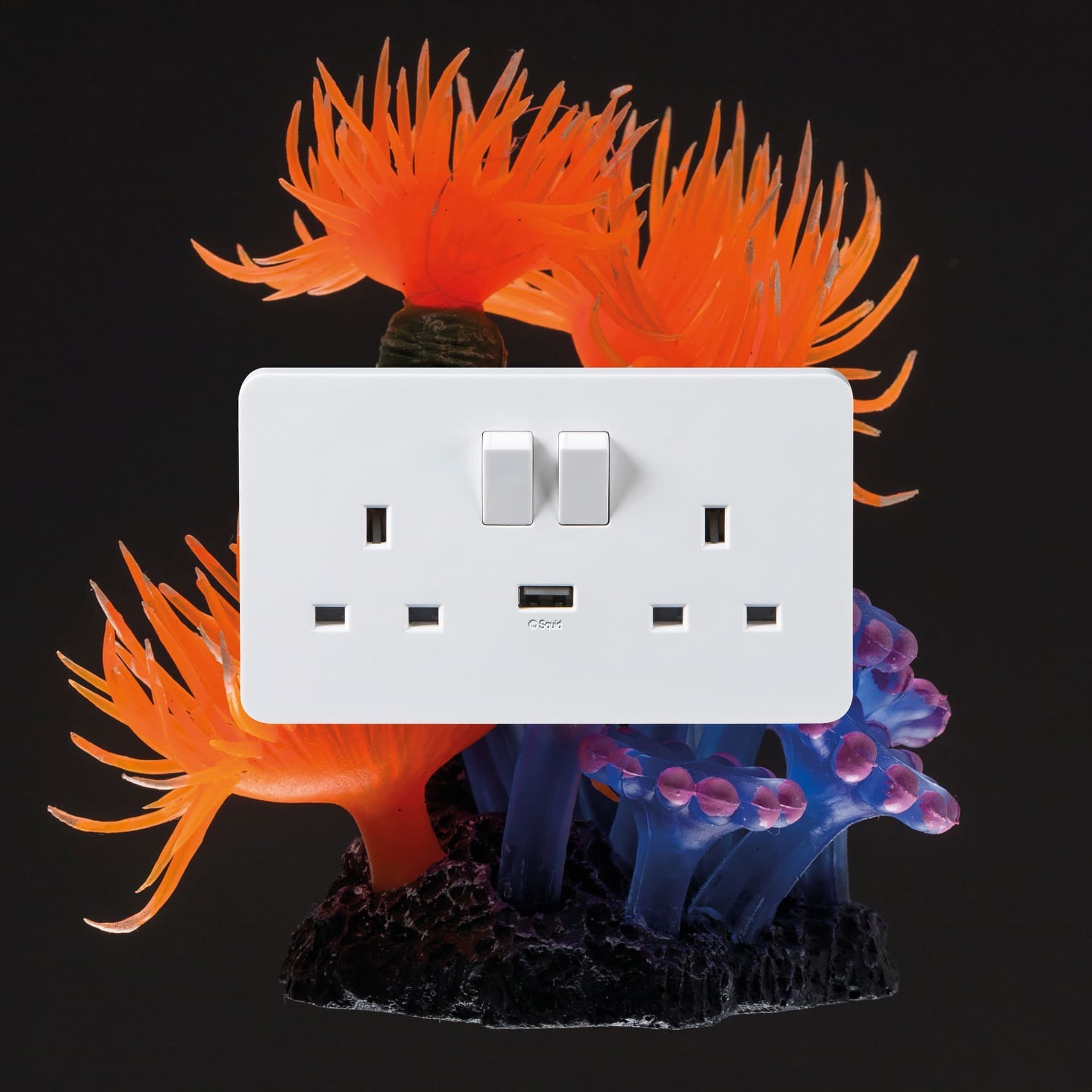 Squid – Sludge