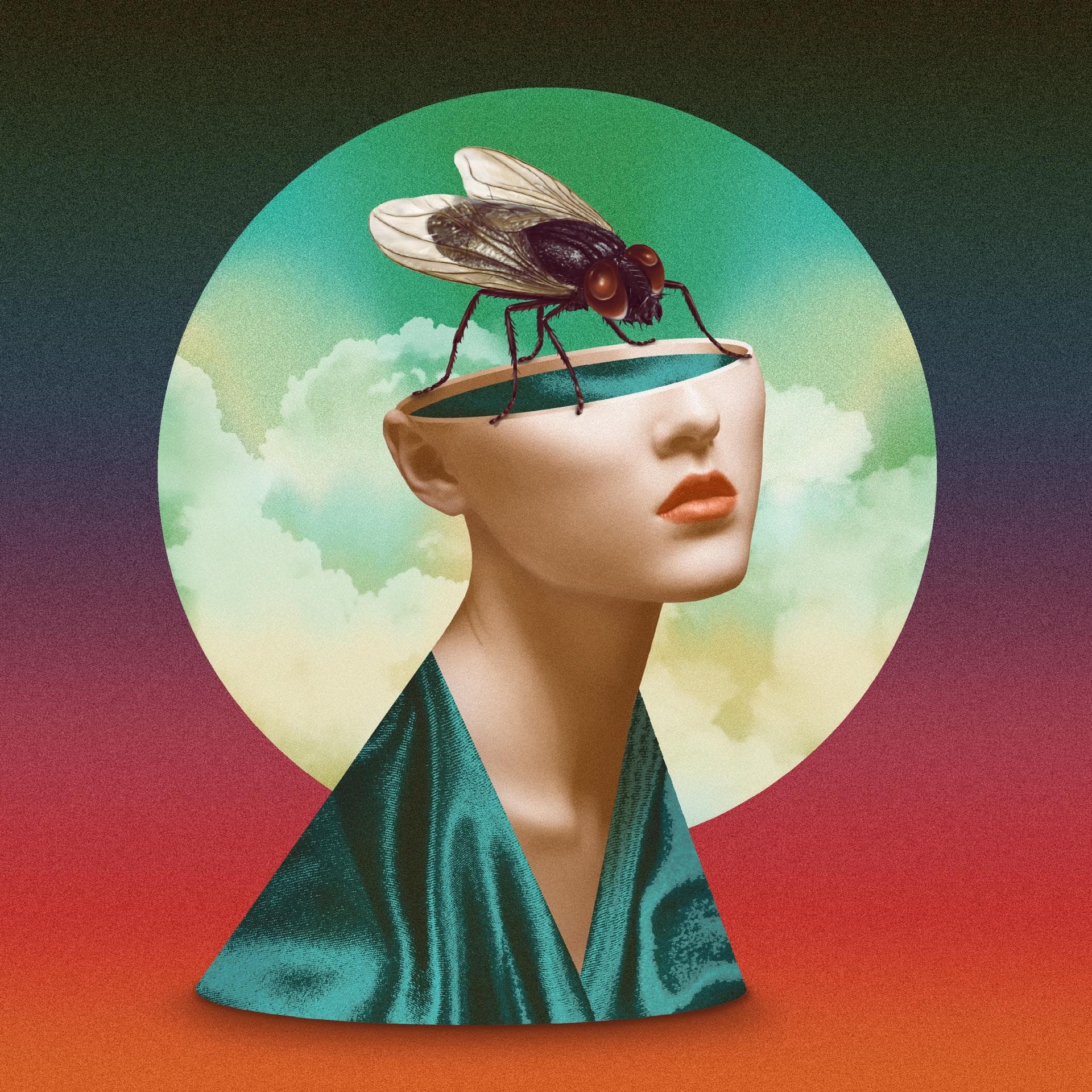 Josephine Odhil – Fly On The Wall