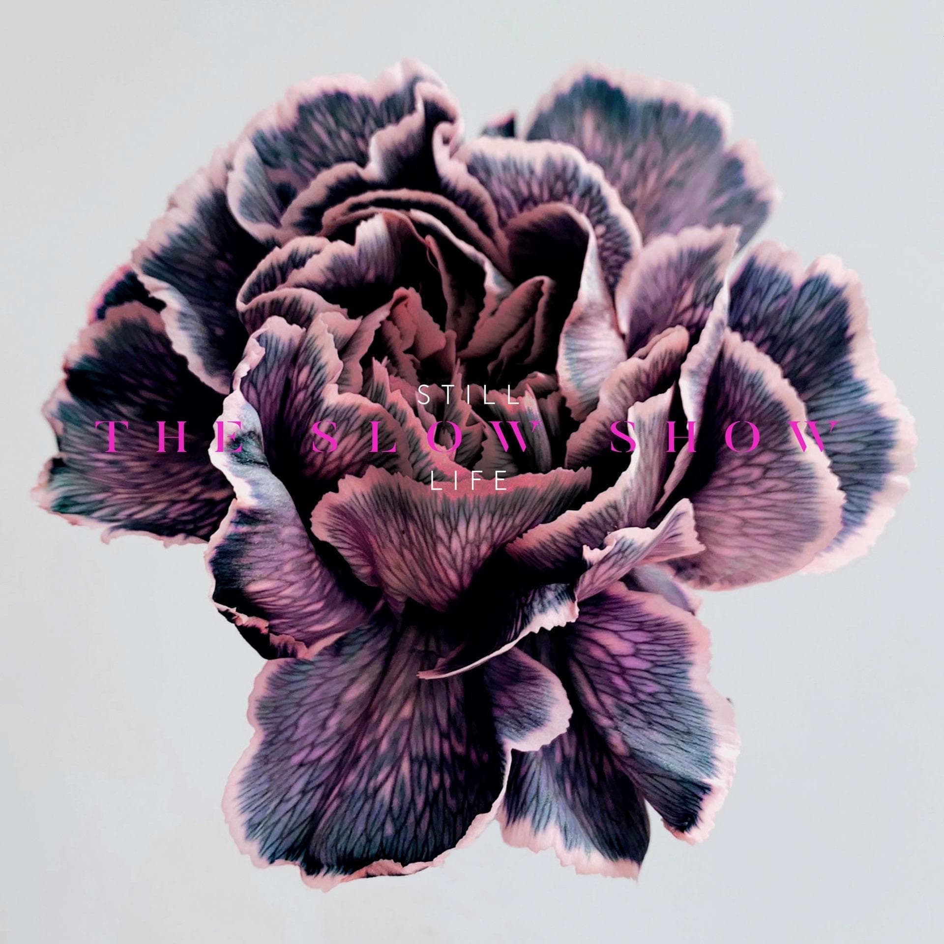 The Slow Show – Anybody Else Inside