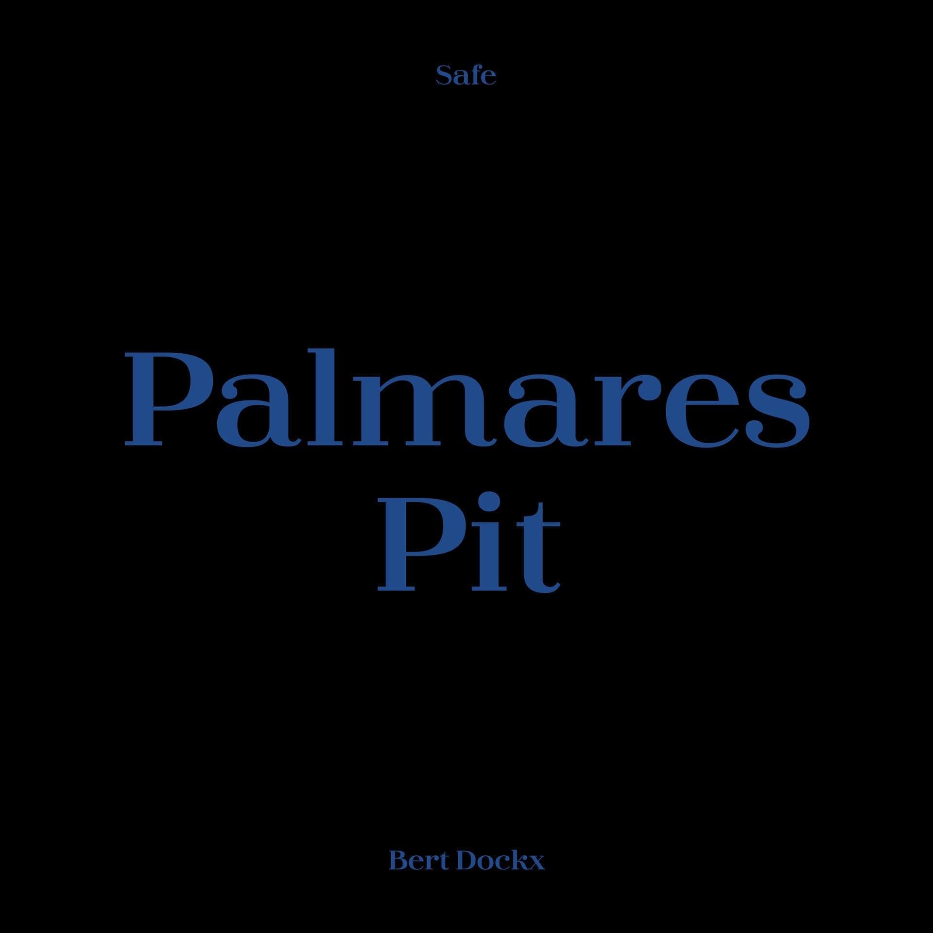 Bert Dockx – Palmares / Pit