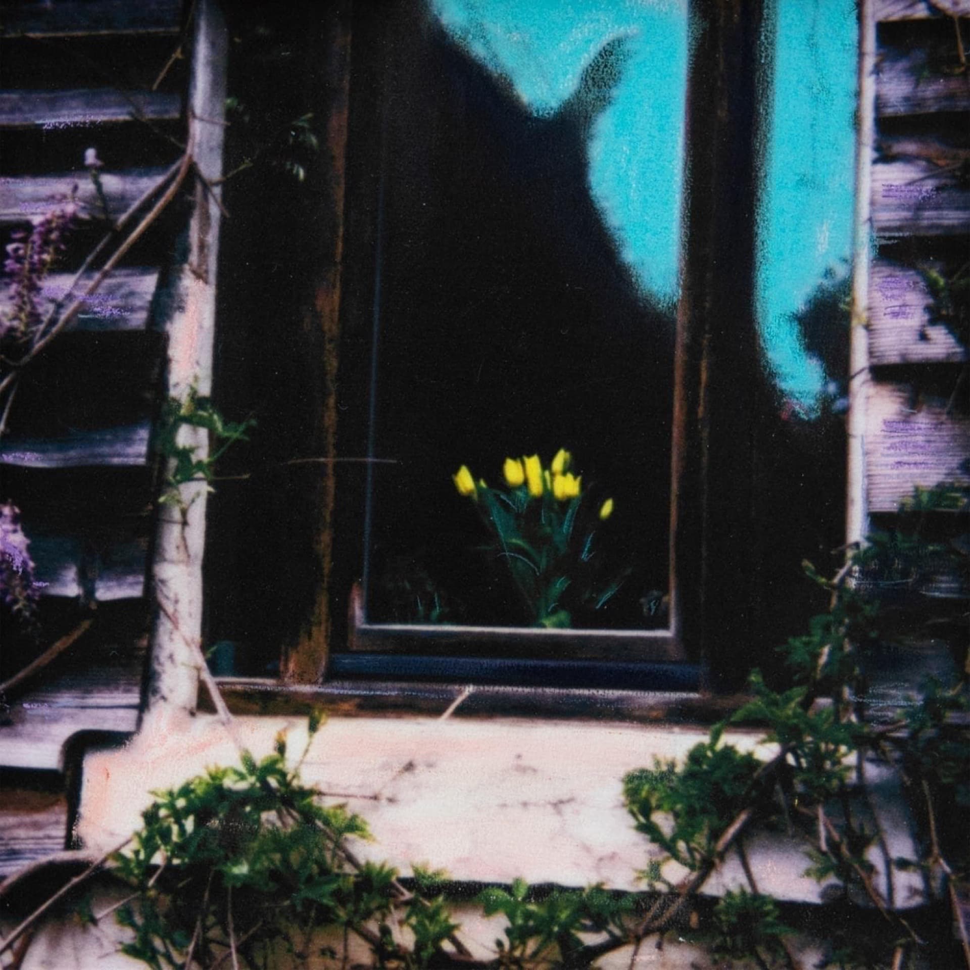 The Radar Station – House with No Seasons