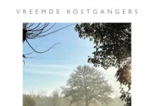 Vreemde Kostgangers – Mist