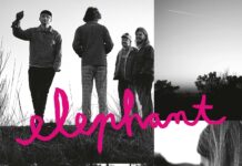 Elephant – Enemy