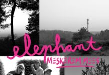 Elephant ft. Meskerem Mees – The Morning