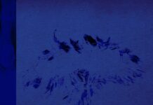 Melle Jutte – Blue