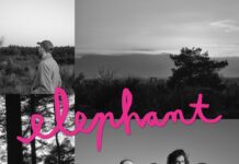 Elephant – Baby Jean