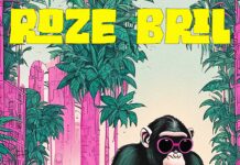 Primaat – Roze Bril