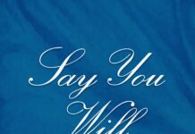 Boogie Monster – Say You Will