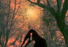 Rats and Daggers – Mary