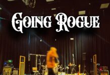 Nighthawker – Going Rogue