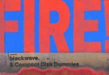 blackwave. & Compact Disk Dummies – Fire!