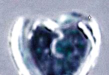 TJE – Always Hardening