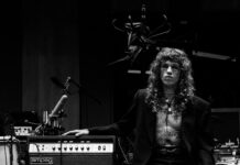 The Bird Experience – Canto VII