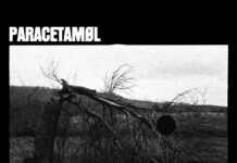 Paracetamøl – Radical