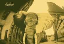 Grandad – Elephant