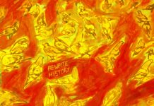 Fit – Rewrite History