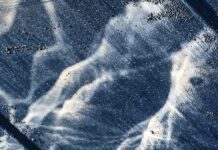 Grote Geelstaart – Vracht 7